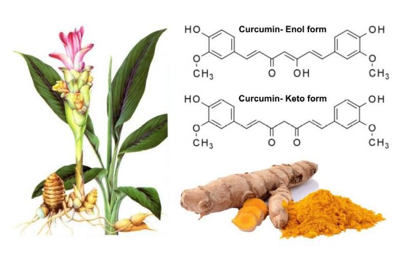 Tetrahydrocurcumin-1