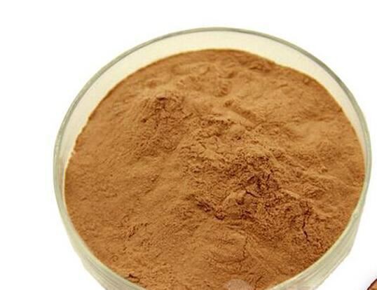 Burdock Powder-1