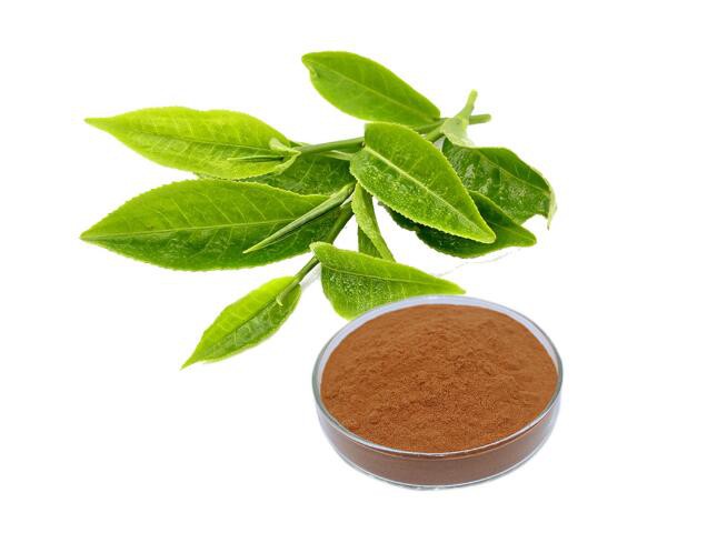 organic green tea powder-2