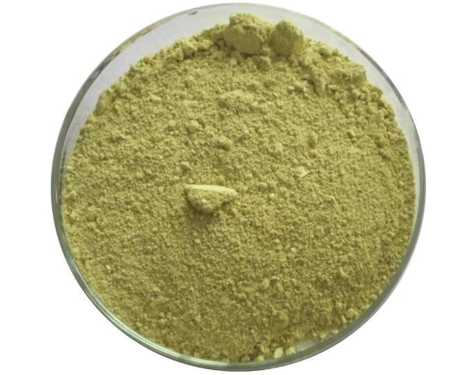 green tea extract-1