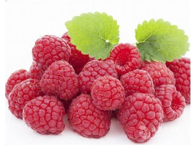 Raspberry Extract