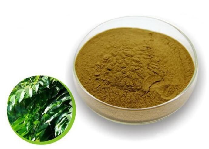 Organic Olive Leaf Extract-1