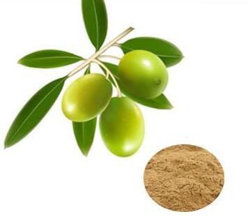 olive leaf extract-1