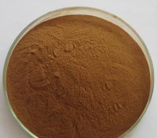 Red Ginseng Extract-1