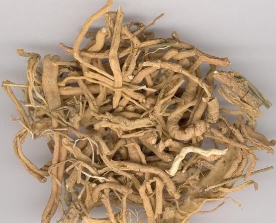 polygala extract