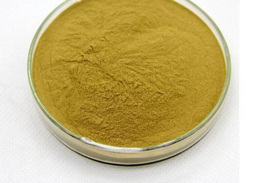 polygala extract-1