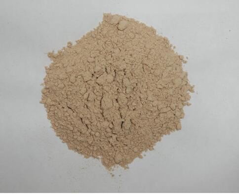 Organic Psyllium Husk Powder