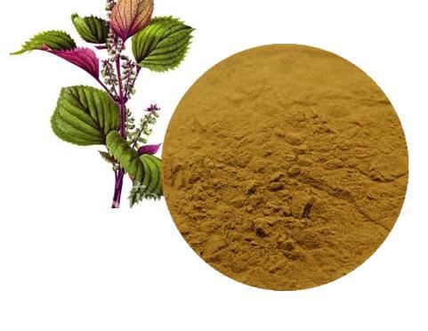 Perilla Seed Extract-1