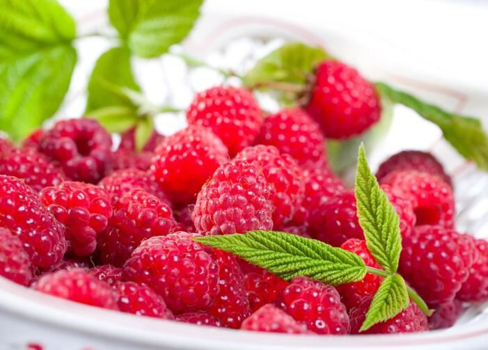 Raspberry Fruit Extract