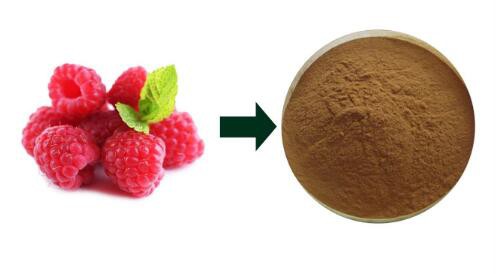 Raspberry Fruit Extract-1