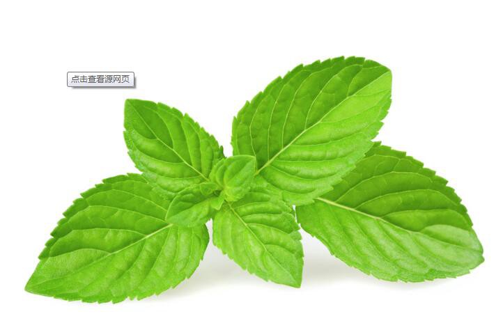 Organic Peppermint Extract