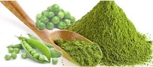 Organic Pea Protein-1