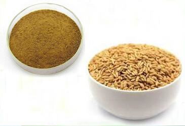 Oat Extract