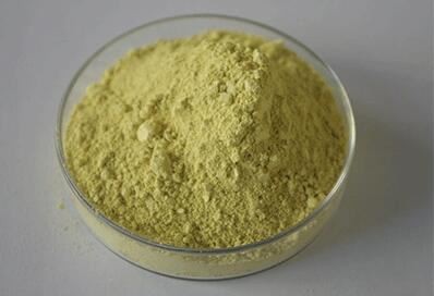 Wild yam extract-1