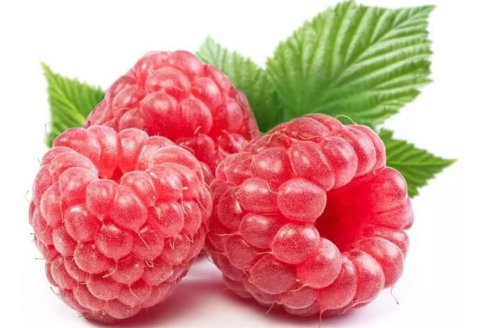 raspberry fruit powder