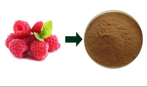 raspberry fruit powder-1