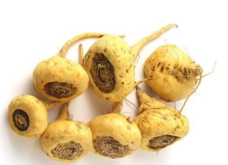 Maca Extract-1