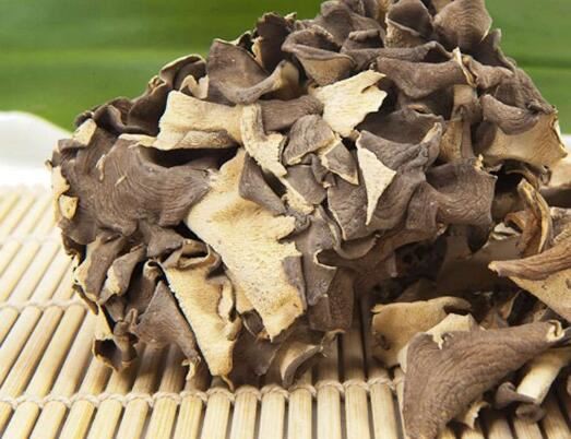 Maitake Extract