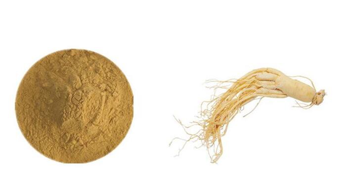 Panax Ginseng Extract