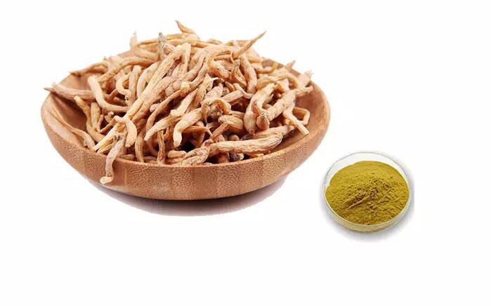 falsestarwort root extract-1