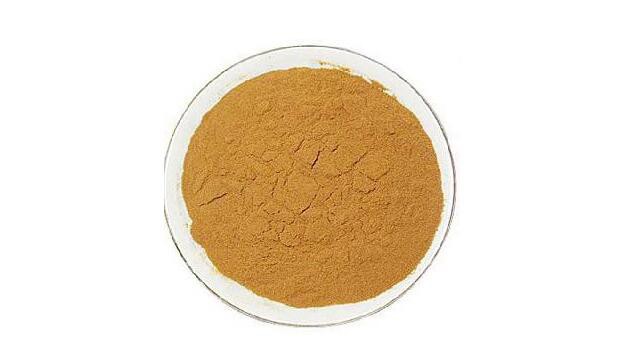 Houttuynia Cordata Extract-1