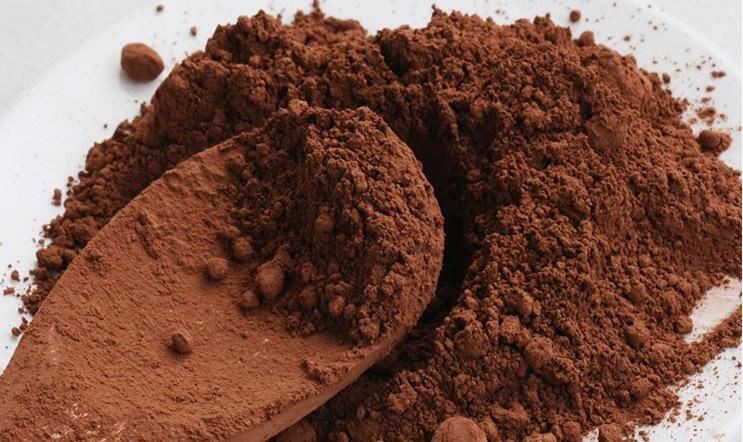 Cocoa extract powder