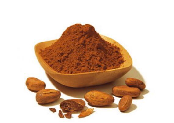 Cocoa extract powder-1