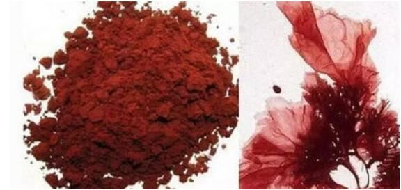 astaxanthin powder-1