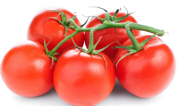 Tomato Extract