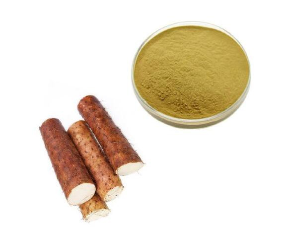 Wild Yam Root Extract-1