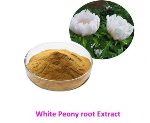 White Peony Root Extract-1