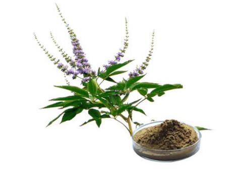 Vitex Extract-1