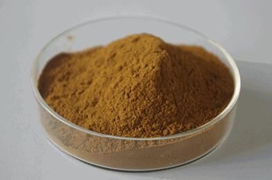 tribulus terrestris extract-1