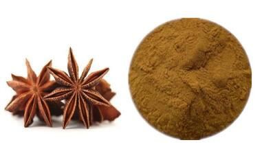 Star Anise Powder-1