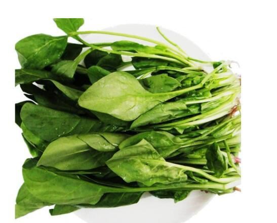 Spinach Extract