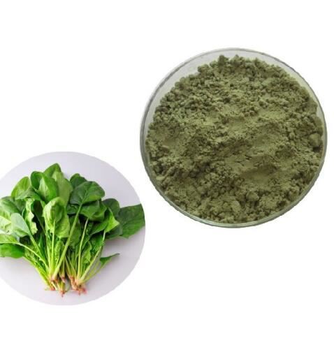 Spinach Extract-1