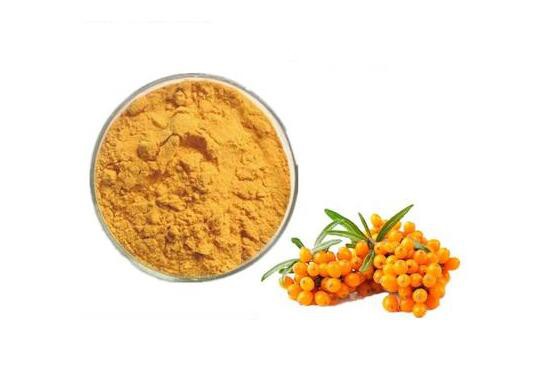 Sea Buckthorn Extract-2