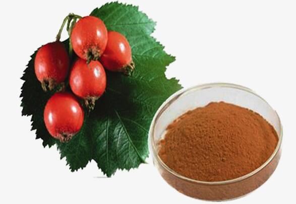 Rosehips Powder