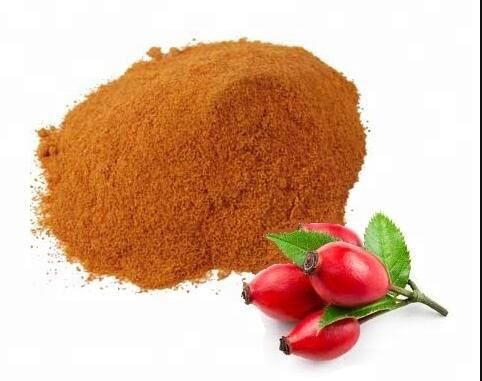 Rosehips Powder-1