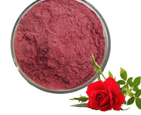 rose extract