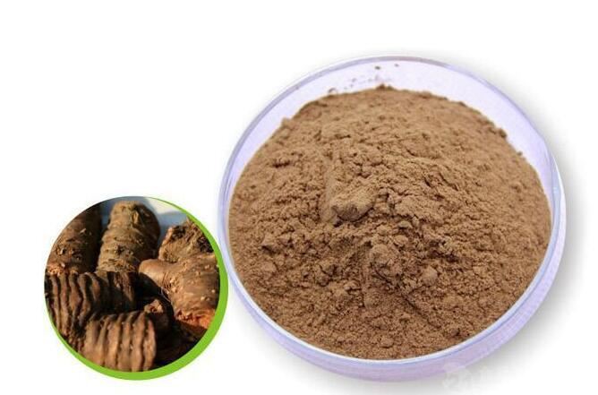 Rhodiola Root Extract-1