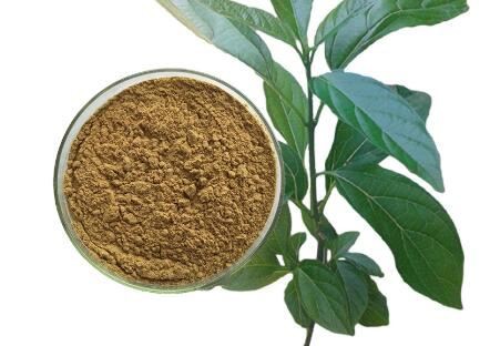 Indigowoad Leaf Extract-1