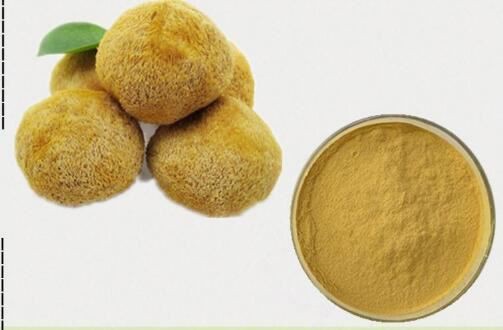 Hericium erinaceus extract