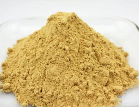 Hericium erinaceus extract-1