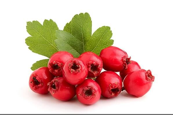 Hawthorn Berry Extract