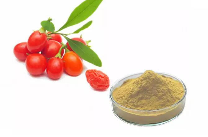 goji berry extract