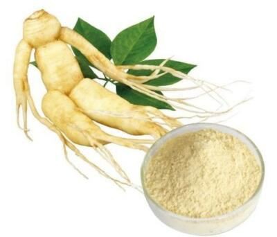 Ginseng Extract