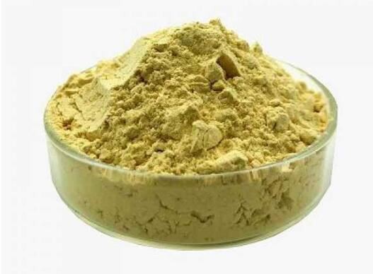 Organic Ginger Extract