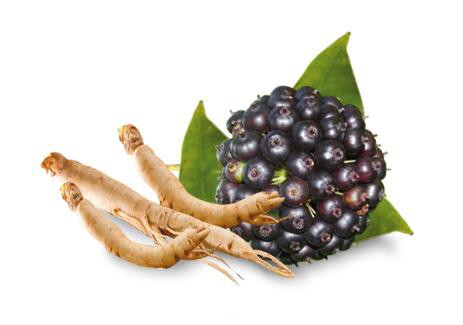 Siberian Ginseng Extract