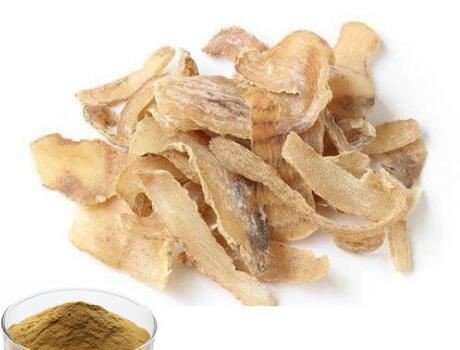 Gastrodia Elata Extract-1